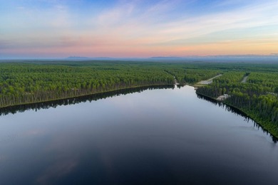 Take a look at this beautiful 7.82 +/- acre property in Baldy - photo 41