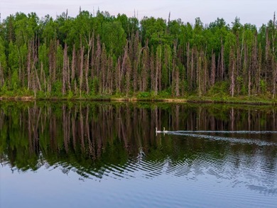 Take a look at this beautiful 7.82 +/- acre property in Baldy - photo 42