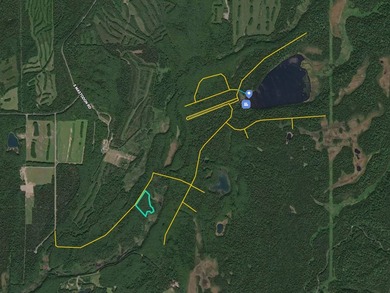 Take a look at this beautiful 7.82 +/- acre property in Baldy - photo 43