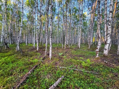 Take a look at this beautiful 7.82 +/- acre property in Baldy - photo 44