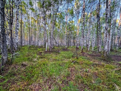 Take a look at this beautiful 7.82 +/- acre property in Baldy - photo 45