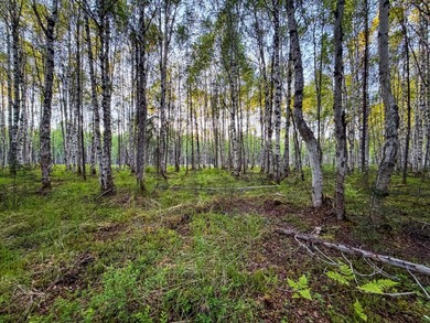 Take a look at this beautiful 7.82 +/- acre property in Baldy - photo 46