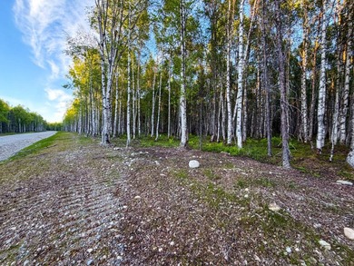 Take a look at this beautiful 7.82 +/- acre property in Baldy - photo 47