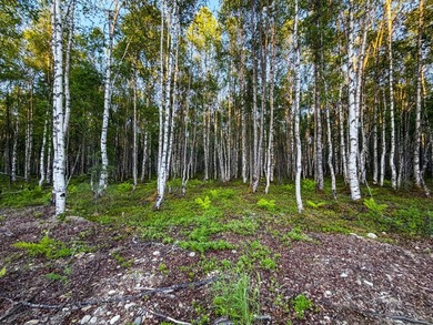 Take a look at this beautiful 7.82 +/- acre property in Baldy - photo 48