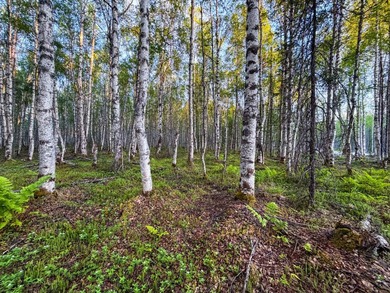 Take a look at this beautiful 7.82 +/- acre property in Baldy - photo 49