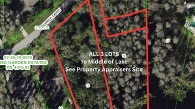 Lake Home For Sale in Land O Lakes, Florida