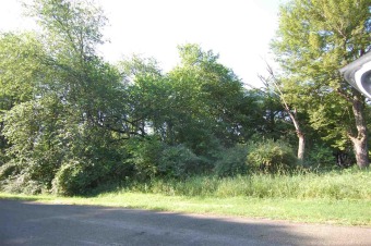 Lake Lot For Sale in Montello, Wisconsin