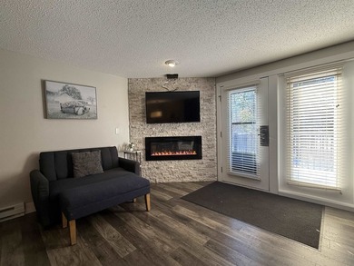 Welcome to this beautifully updated Wisconsin Dells condo - photo 10
