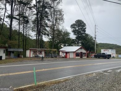 Lake Home For Sale in Blairsville, Georgia