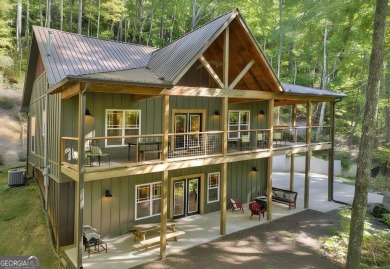 Lake Home For Sale in Cherry Log, Georgia