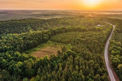A rare opportunity to own more than 200 acres of thoughtfully - photo 5