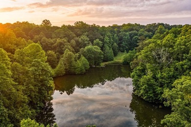 A rare opportunity to own more than 200 acres of thoughtfully - photo 6