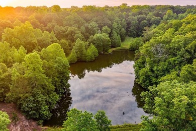 A rare opportunity to own more than 200 acres of thoughtfully - photo 7