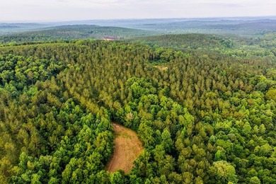 A rare opportunity to own more than 200 acres of thoughtfully - photo 9