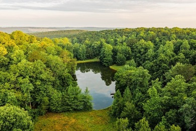 A rare opportunity to own more than 200 acres of thoughtfully - photo 10