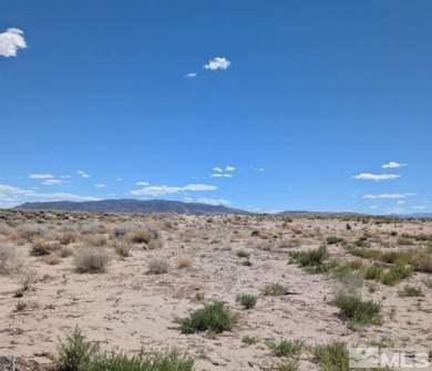 Lake Lahontan Acreage For Sale in Silver Springs Nevada