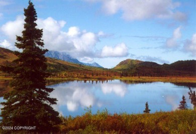 (private lake, pond, creek) Acreage For Sale in Chickaloon Alaska