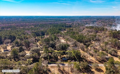 Welcome to your private Lowcountry retreat at 7967 Highway 162 - photo 5
