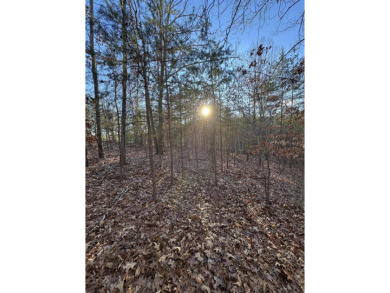 Lake Lot For Sale in Pittsville, Virginia