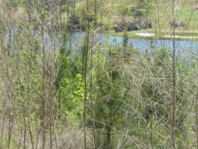 Spaulding Lake Lot For Sale in Aiken South Carolina