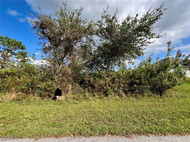 Port Charlotte Waterway Area Lot For Sale in Port Charlotte Florida