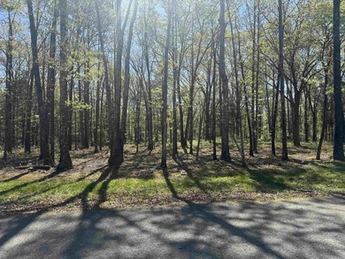 Beautiful lot with mature trees located in a new gated - photo 3