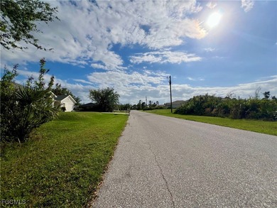 Located in a developing neighborhood, this residential lot - photo 3