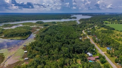 Lake Home For Sale in Donalsonville, Georgia