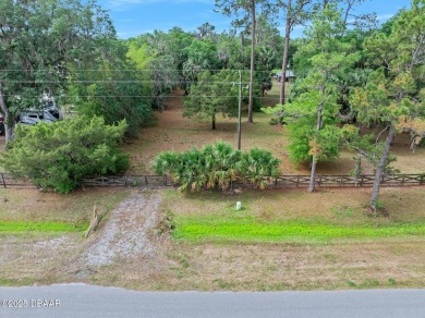 Lake Lot Sale Pending in Astor, Florida
