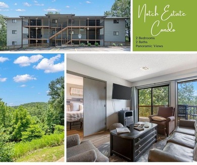 Table Rock Lake Condo For Sale in Branson West Missouri