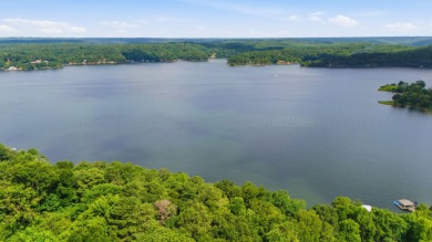 Smith Lake (Cullman side) A unique and special opportunity on - photo 22
