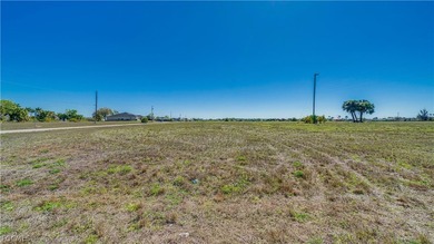 Corner Commercial lot in the heart of Northeast Cape Coral - photo 3