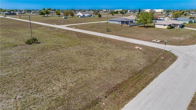 Corner Commercial lot in the heart of Northeast Cape Coral - photo 7