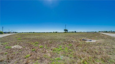 Corner Commercial lot in the heart of Northeast Cape Coral - photo 8