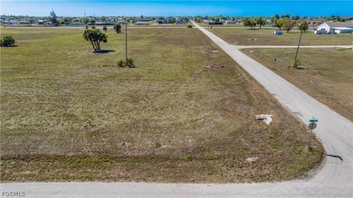 Corner Commercial lot in the heart of Northeast Cape Coral - photo 9