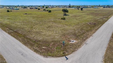 Corner Commercial lot in the heart of Northeast Cape Coral - photo 10