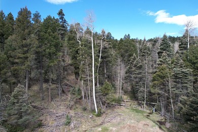 Monte Verde Lake Lot For Sale in Angel Fire New Mexico