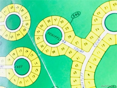 Premium home site in Sugarmill Woods. Lot 30. Block - photo 1