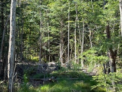 This versatile 16.8-acre property offers a rare combination of - photo 13