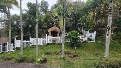 Enter via a gated Palm Tree lined drive to a dramatic custom - photo 14