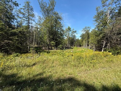 This versatile 16.8-acre property offers a rare combination of - photo 16