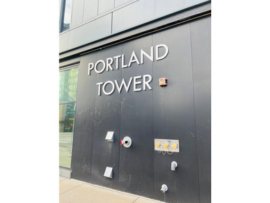 Enjoy modern city living in this beautiful 2-bedroom, 2-bath - photo 1
