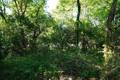 Nine parcels on 1.75 acres in the city of Georgetown! Eached - photo 22