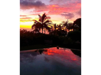 Enter via a gated Palm Tree lined drive to a dramatic custom - photo 25