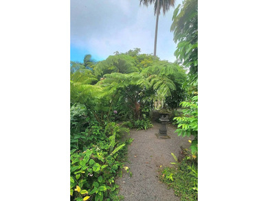 Enter via a gated Palm Tree lined drive to a dramatic custom - photo 26