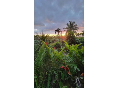 Enter via a gated Palm Tree lined drive to a dramatic custom - photo 30