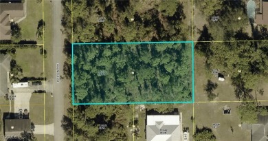 Lehigh Acres Area Lot Sale Pending in Lehigh Acres Florida