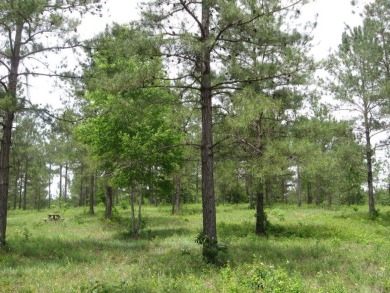  Lot For Sale in Bainbridge Georgia