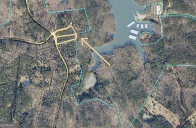 Lake Acreage For Sale in Elberton, Georgia