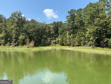 Lot 47 totaling 2.54 acres, with Corps of Engineer property - photo 2